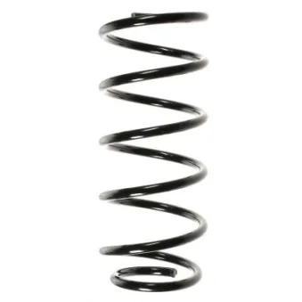Ressort de suspension SPIDAN OEM 312049