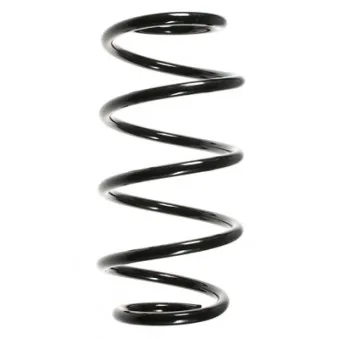 Ressort de suspension SPIDAN OEM 9118403