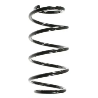 Ressort de suspension SPIDAN OEM 312852