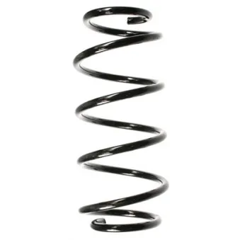 Ressort de suspension SPIDAN OEM 312100