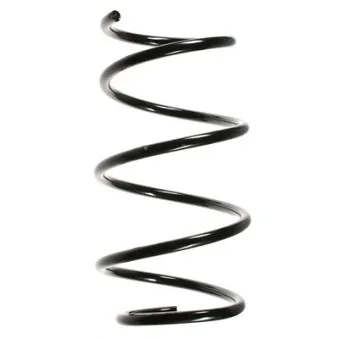Ressort de suspension SPIDAN OEM 31331096184