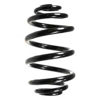 Ressort de suspension SPIDAN OEM 33539071014