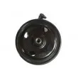 SPIDAN 52599 - Pompe hydraulique, direction