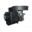 SPIDAN 53548 - Pompe hydraulique, direction