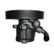 SPIDAN 53554 - Pompe hydraulique, direction