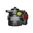 SPIDAN 53605 - Pompe hydraulique, direction