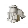 SPIDAN 53750 - Pompe hydraulique, direction