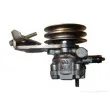 SPIDAN 53768 - Pompe hydraulique, direction