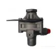 SPIDAN 53866 - Pompe hydraulique, direction