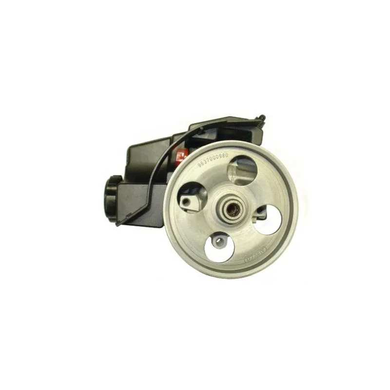 Pompe de direction assistée pour CITROEN XSARA Picasso N68 2,0 HDI 90cv
