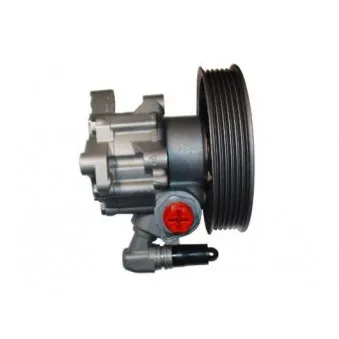 Pompe hydraulique, direction SPIDAN OEM V30-0192