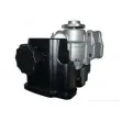 SPIDAN 54162 - Pompe hydraulique, direction