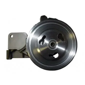 SPIDAN 54174 - Pompe hydraulique, direction