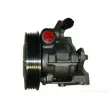 SPIDAN 54174 - Pompe hydraulique, direction