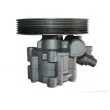 SPIDAN 54181 - Pompe hydraulique, direction