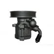 SPIDAN 54195 - Pompe hydraulique, direction