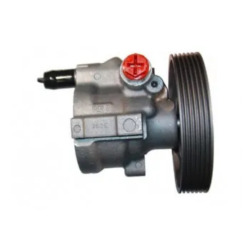 Pompe hydraulique, direction SPIDAN OEM 30620812