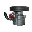 SPIDAN 54295 - Pompe hydraulique, direction