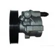 SPIDAN 54302 - Pompe hydraulique, direction