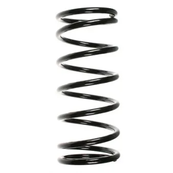 SPIDAN 55009 - Ressort de suspension