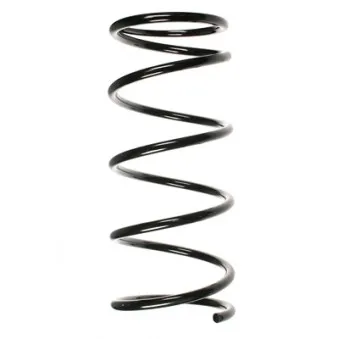 Ressort de suspension SPIDAN OEM 308127562