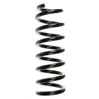 Ressort de suspension SPIDAN OEM 4111165D10