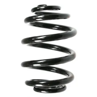 Ressort de suspension SPIDAN OEM 33531095710