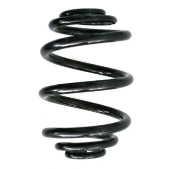 Ressort de suspension SPIDAN OEM 33539070580