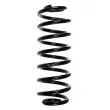 SPIDAN 55100 - Ressort de suspension