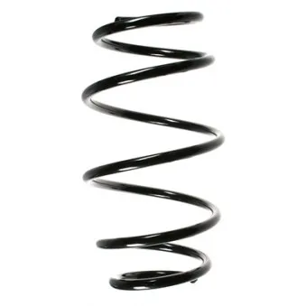 Ressort de suspension SPIDAN OEM 31331091519