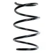 SPIDAN 55116 - Ressort de suspension