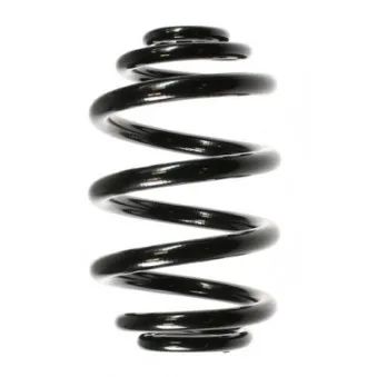 Ressort de suspension SPIDAN OEM 33536750756