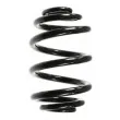SPIDAN 55123 - Ressort de suspension