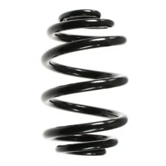 Ressort de suspension SPIDAN OEM 33536750758