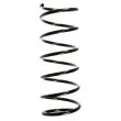 SPIDAN 55153 - Ressort de suspension