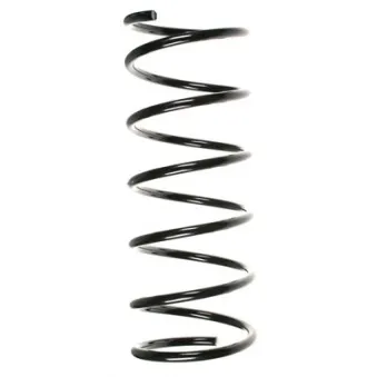 Ressort de suspension SPIDAN 55155