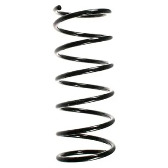 Ressort de suspension SPIDAN OEM 5002SA