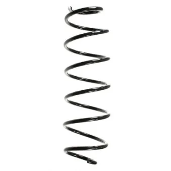 Ressort de suspension SPIDAN OEM 50701024
