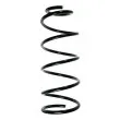 SPIDAN 55245 - Ressort de suspension