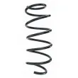SPIDAN 55288 - Ressort de suspension