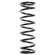 SPIDAN 55329 - Ressort de suspension