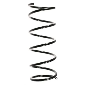 Ressort de suspension SPIDAN OEM 1143329