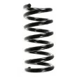 SPIDAN 55359 - Ressort de suspension