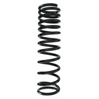 Ressort de suspension SPIDAN OEM 2M515560FA