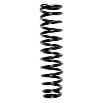 Ressort de suspension SPIDAN 55444
