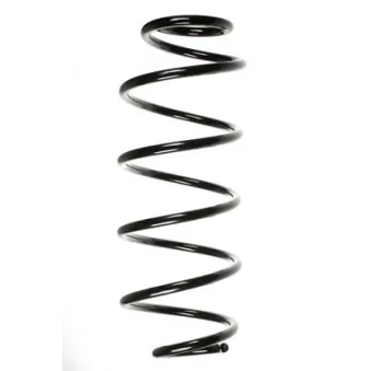 Ressort de suspension SPIDAN OEM C2S14645