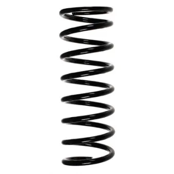Ressort de suspension SPIDAN OEM C2S20847
