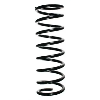 Ressort de suspension SPIDAN OEM C2S20843