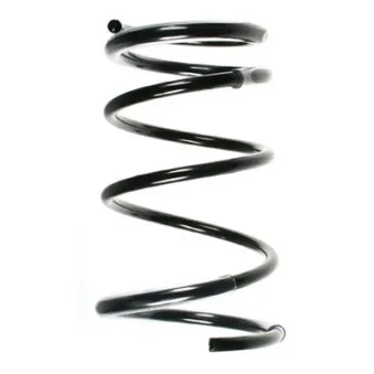 Ressort de suspension SPIDAN 55678