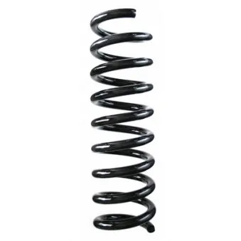 Ressort de suspension SPIDAN OEM 2103211504